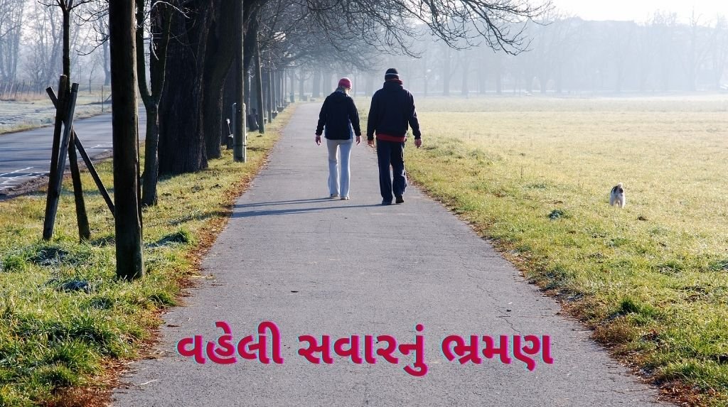 વહેલી સવારનું ભ્રમણ વિશે નિબંધ
